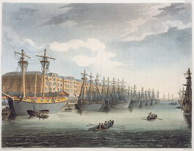 Muelles de las Indias Occidentales, 1809 de Pugin and Rowlandson